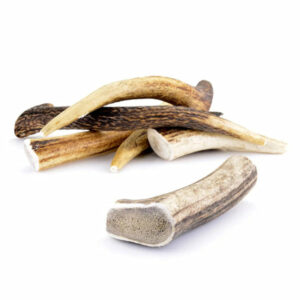 lot de Bois de cerf entier pour chien