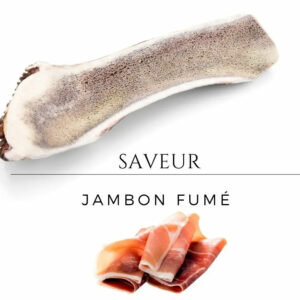 Chien heureux avec son bois de cerf aromatisé au jambon fumé