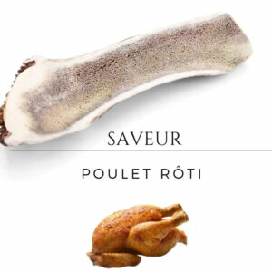 Chien mâchant un bois de cerf tranché aromatisé au poulet rôtie