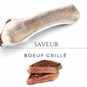 Bois de cerf pour chien saveur bœuf grillé, parfait pour les mâcheurs exigeants