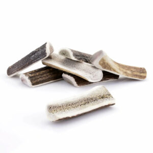 Jouet à mâcher en bois de cerf tranché – idéal pour l’hygiène dentaire canine