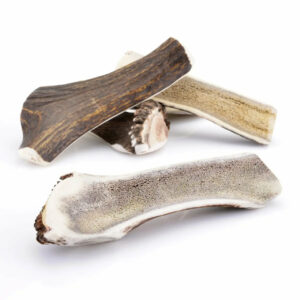 bois de cerf tranché – mastication naturelle et saine