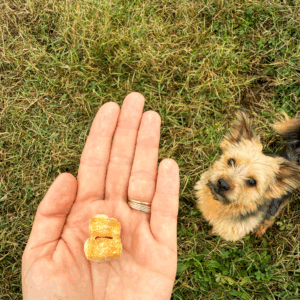 Friandises soufflées Cheezy Dog à l'unité