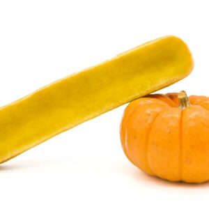 fromage à mâcher pour chien à la citrouille – digestion facilitée