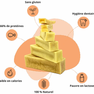 Bâtonnet Cheezy Dog pour chien bienfait