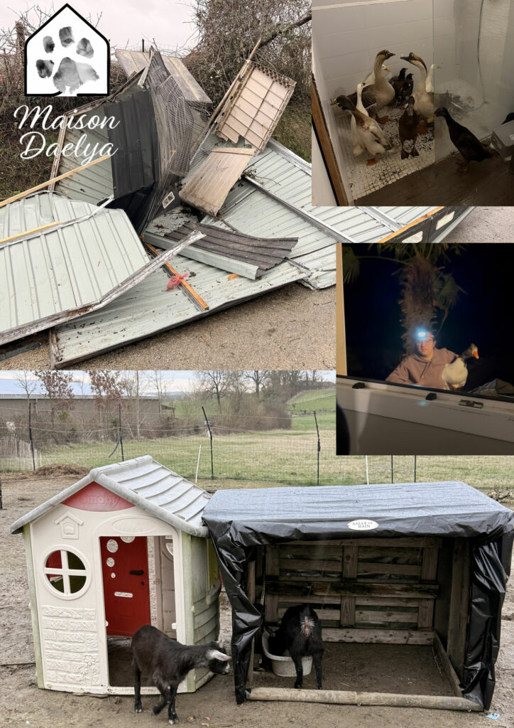 Dégats de la tempête Nils